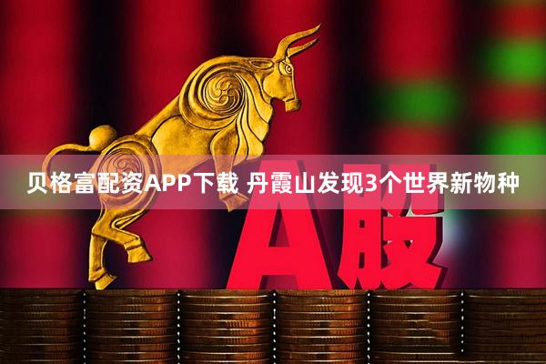 贝格富配资APP下载 丹霞山发现3个世界新物种