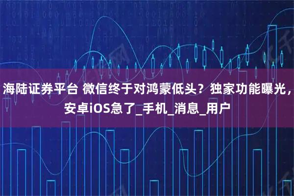 海陆证券平台 微信终于对鸿蒙低头？独家功能曝光，安卓iOS急了_手机_消息_用户